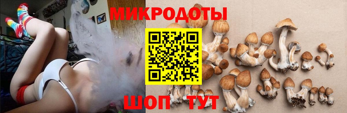 Псилоцибиновые грибы Cubensis  Вход с VPN  Фрязино  Галлюциногенные грибы MAGIC MUSHROOMS 