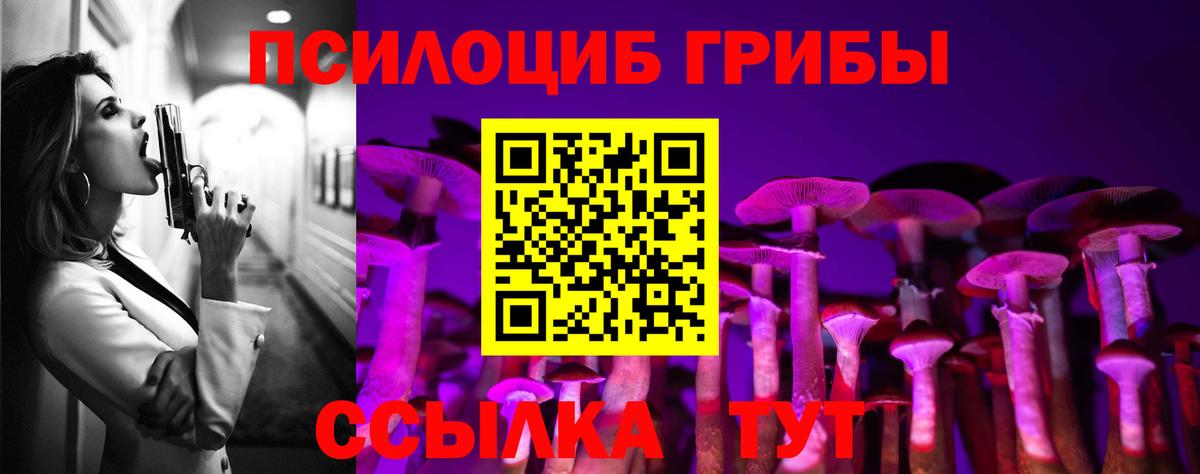 Галлюциногенные грибы MAGIC MUSHROOMS Фрязино